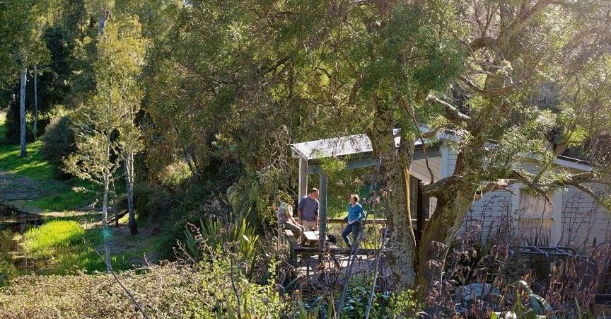 native bush, hideaway, off-grid